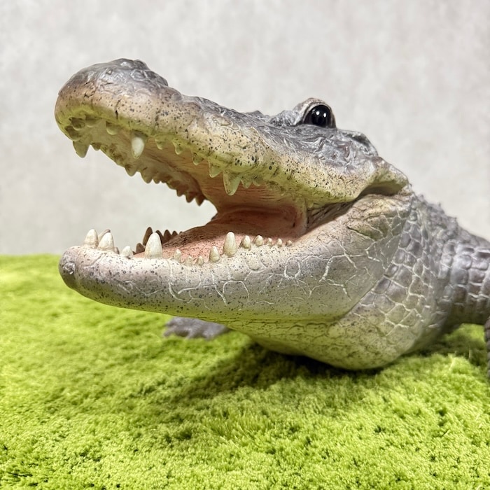 置物 餌を待つワニ 特大 横幅79.5cm 鰐 woobia ウービア 大きい