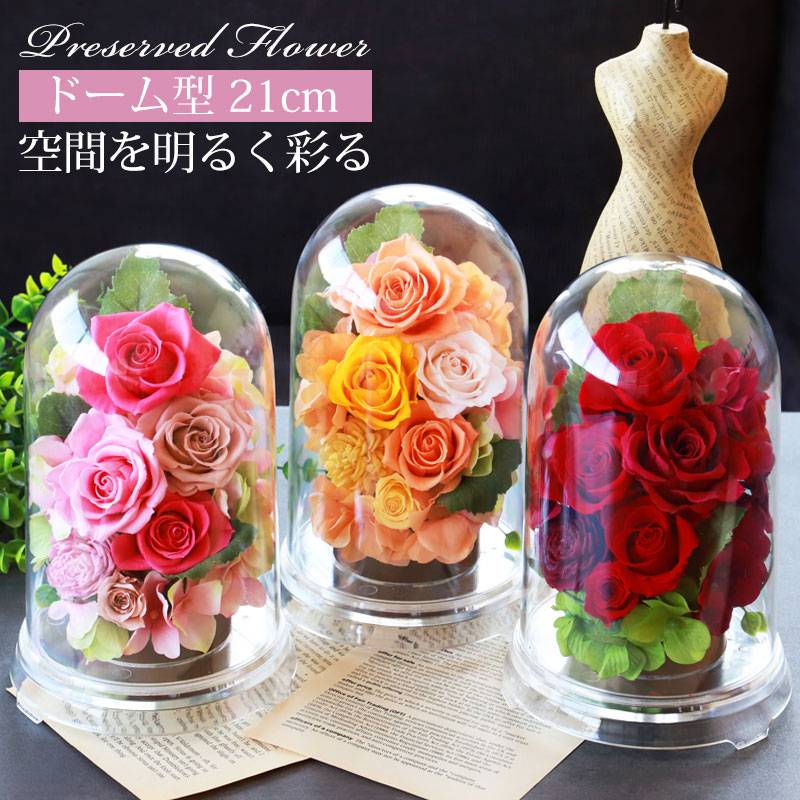プリザーブドフラワー ドーム型 グランドーム 母の日 ギフト