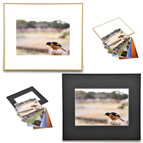 WEBカメラマン オリジナル作品額装セット 07 山田芳文 「四季の鳥風景