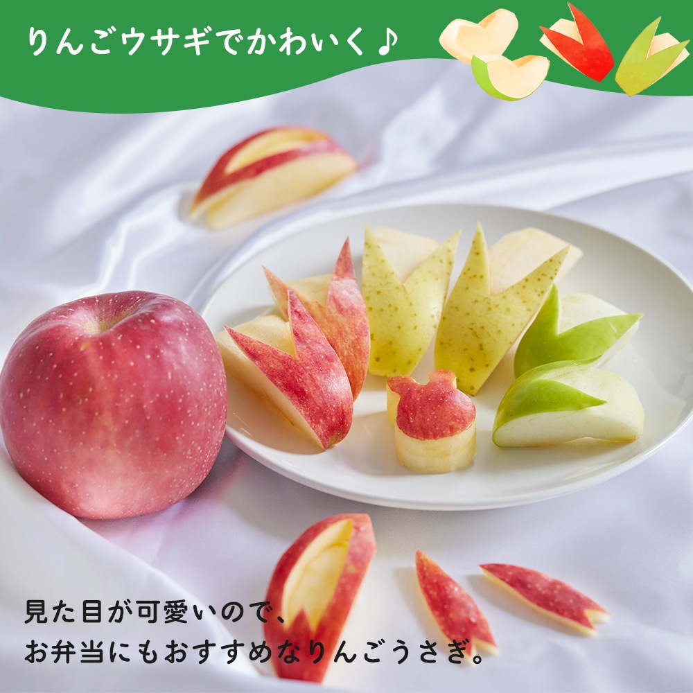 11月出荷予定 【産地発送】 青森県りんご食べ比べセット （5種以上11