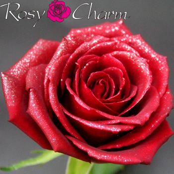 ラメ付き 赤いバラの花束｜スパークリングローズ・ブーケ｜ゴールド