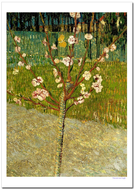 ゴッホ 花咲くアーモンドの木ポスター販売