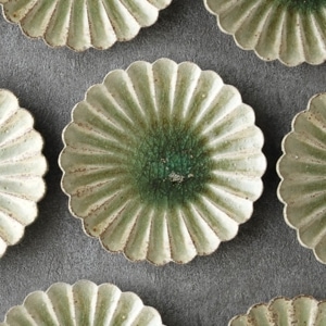 高島大樹 | 趣佳[syuca.jp] オンラインショップ（通信販売）