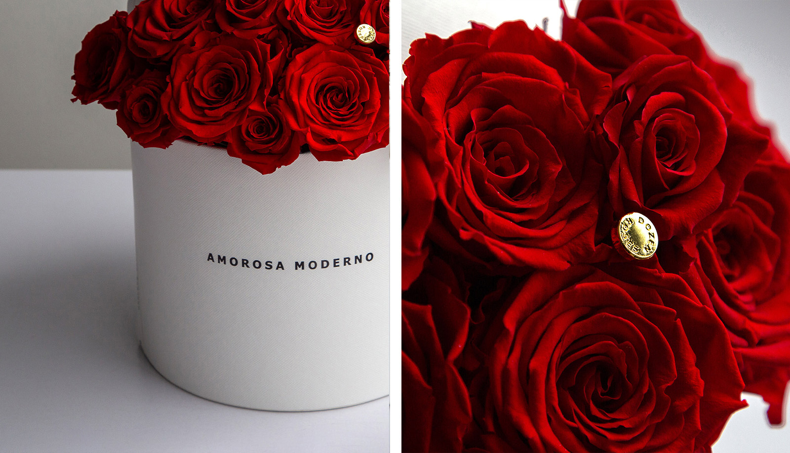 ダーズンローズマイプレシャス(ラグジュアリー)/レッド （プリザーブド