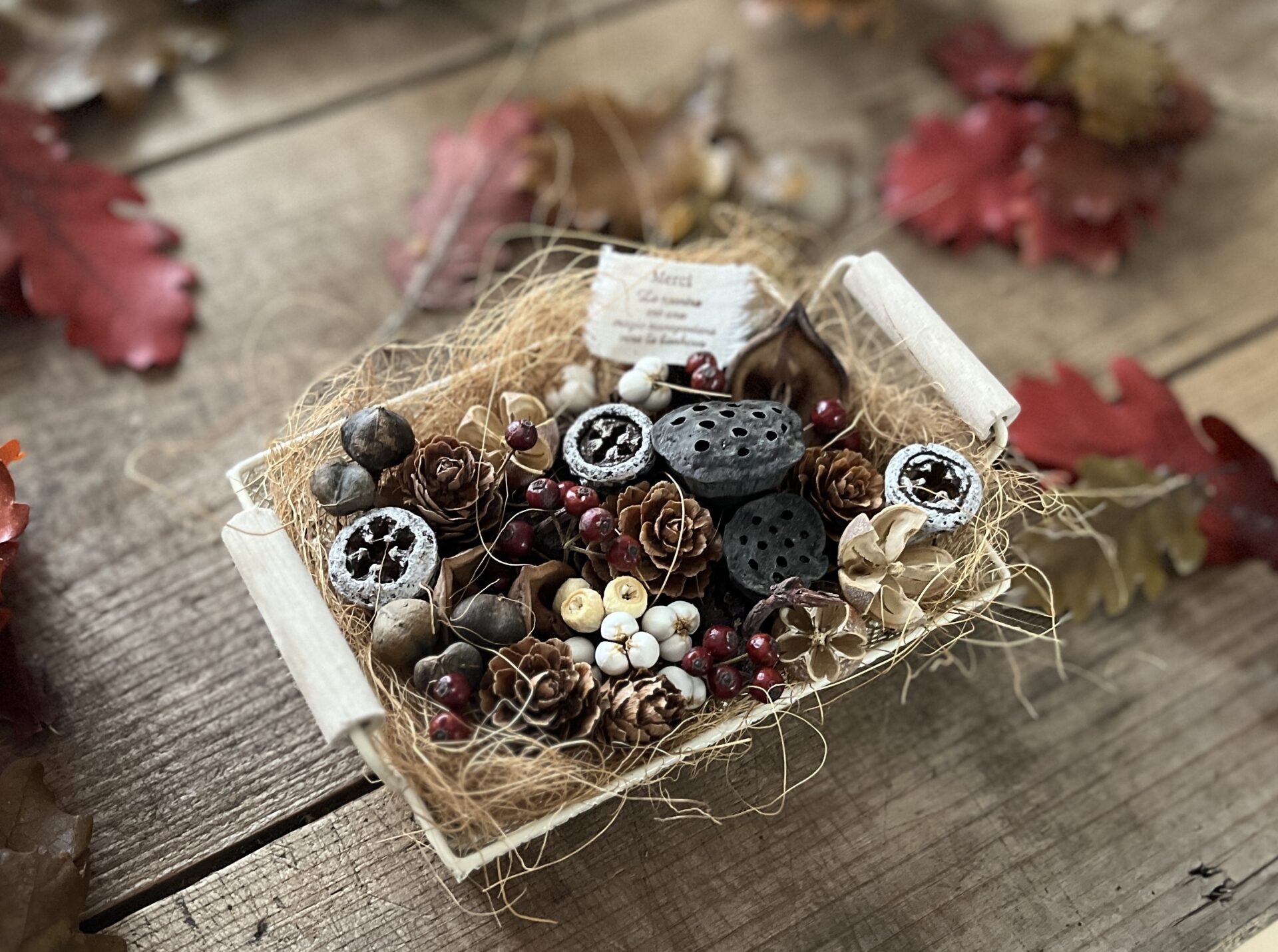 100円ショップの材料で作る木の実のアレンジ｜読みもの｜MeTAS＋
