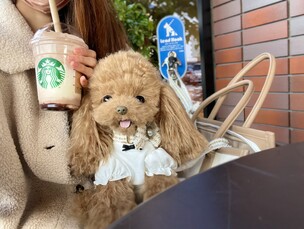 ぽぽみの販売中作品一覧 | ハンドメイド通販・販売のCreema