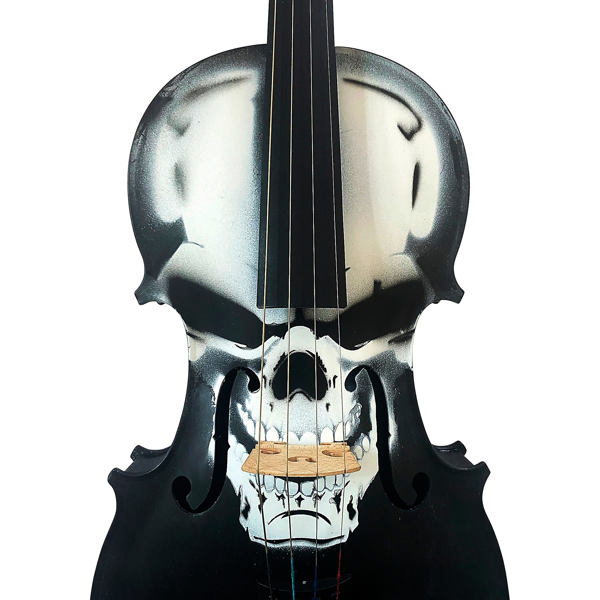 Rozanna's Violins Skull Series Carbon Composite Violin Outfit