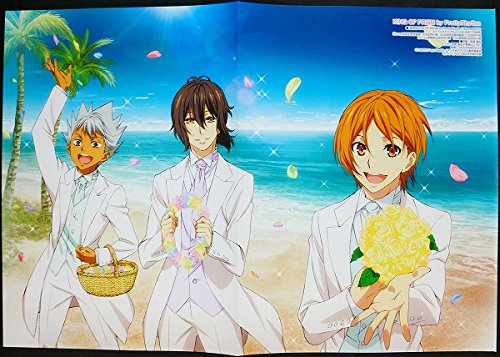 Amazon.co.jp: KING OF PRISM ピンナップポスター Over The Rainbow