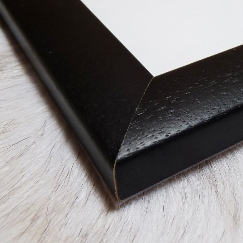 Amazon.co.jp: ポスター ミース ファン デル ローエ Pacello 12 額装品