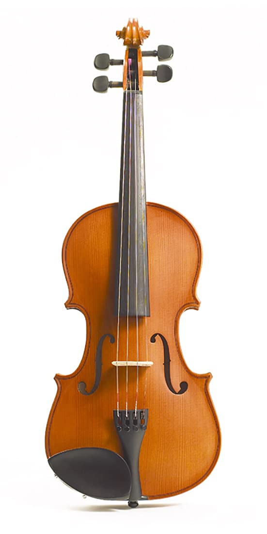 Amazon.com: Stentor 1560A Stentor Conservatoire II Violin, 4/4