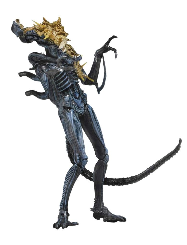 Amazon.com: NECA - Aliens 7