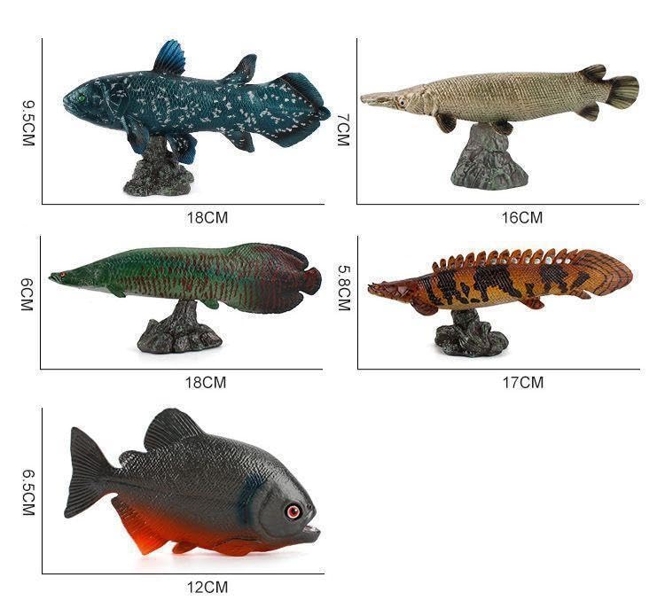 Amazon.co.jp: [猫神山] ラティメリア シーラカンス 海のサカナ 深海魚