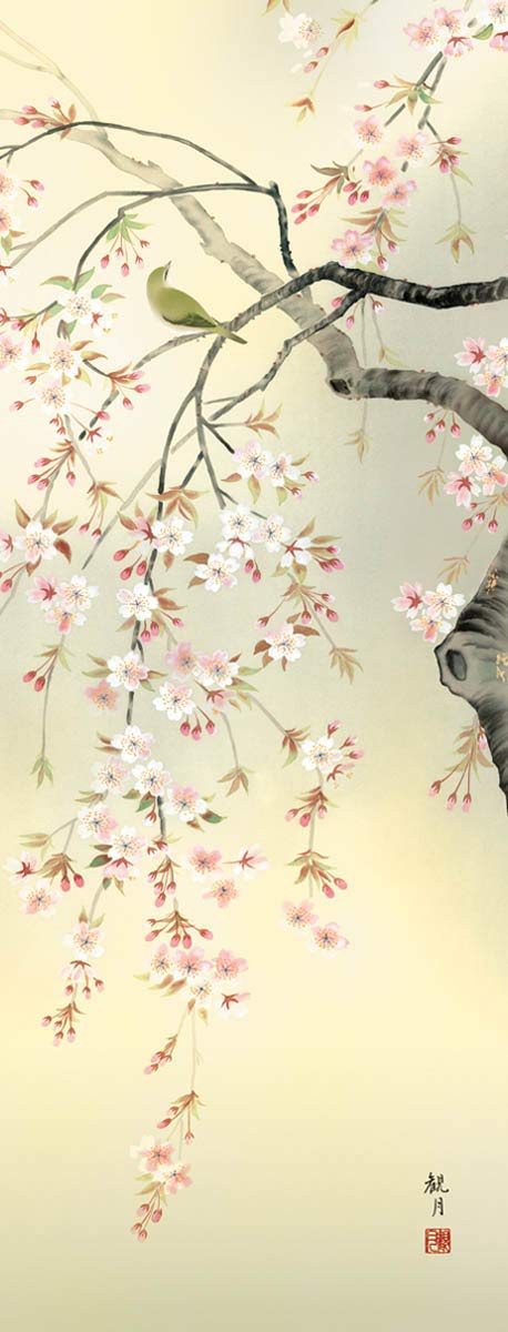 Amazon | 掛け軸 春 桜花・森山観月 尺三 掛軸 桜 床の間 | 絵画生活
