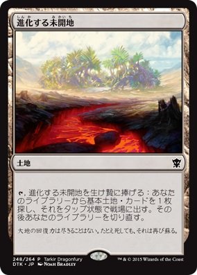 Amazon.co.jp: マジックザギャザリング MTG 土地 日本語版 進化する