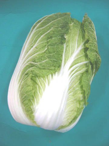 Amazon.co.jp: 日常の一般野菜 はくさい 白菜 1玉 : 食品・飲料・お酒