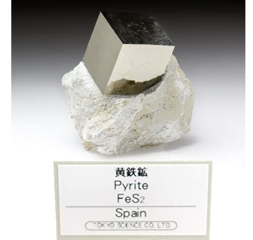 Amazon | SCIENCE 母岩付鉱物標本 鉱物結晶「母岩付 黄鉄鉱 (おうてっ