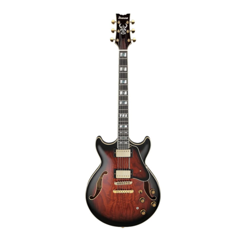 Amazon.com: Ibanez Artstar AM153QA - Dark Brown Sunburst : Musical