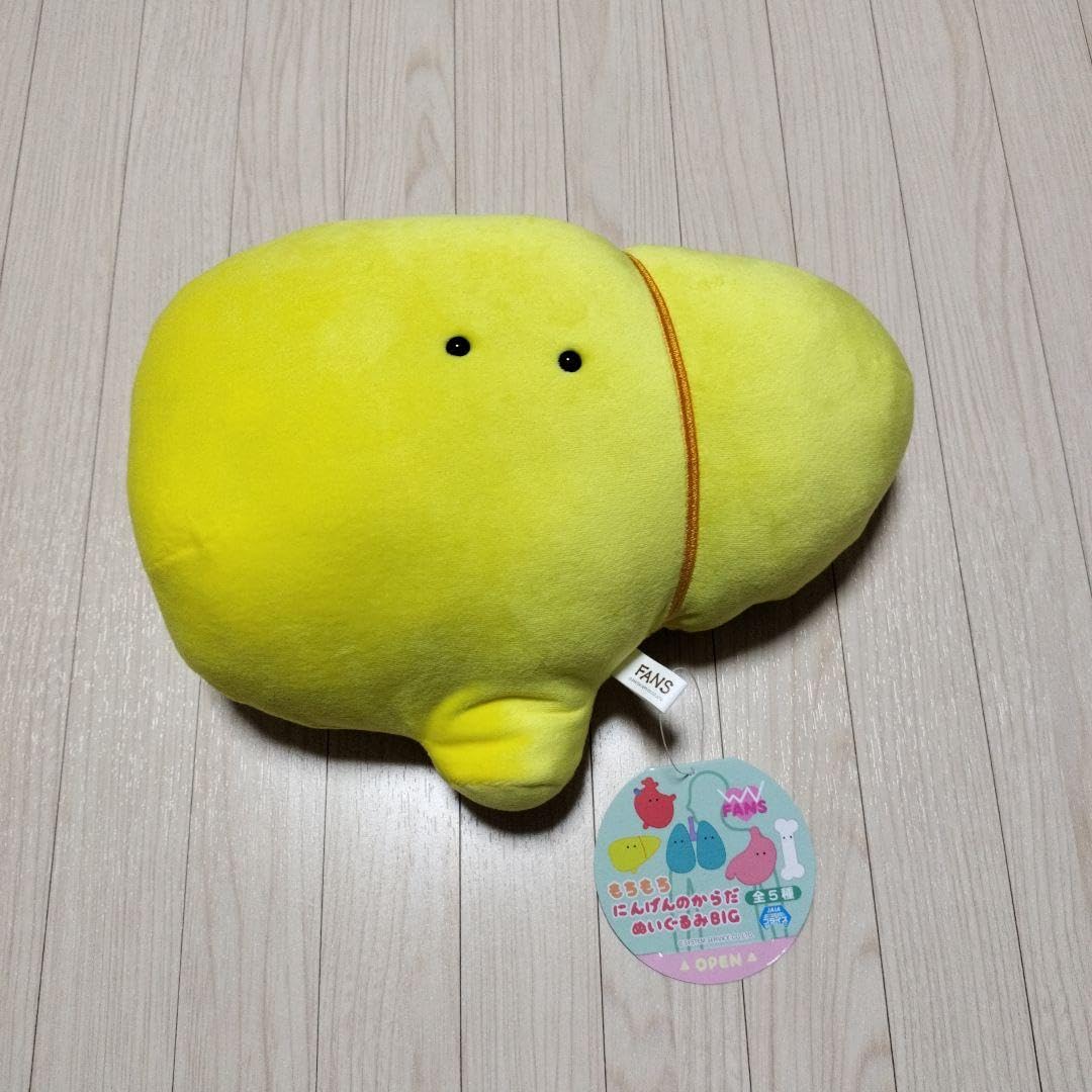 Amazon.co.jp: もちもち にんげんのからだ ぬいぐるみ BIG 肝臓 ホビー