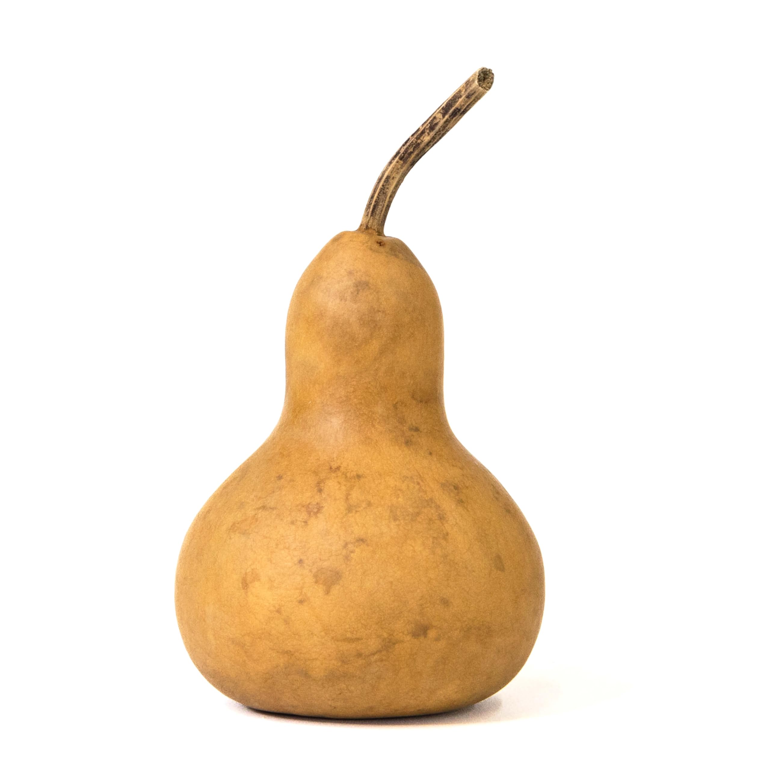 Amazon.co.jp: 乾燥マーチンひょうたん5個入りボックス - 直径3インチ