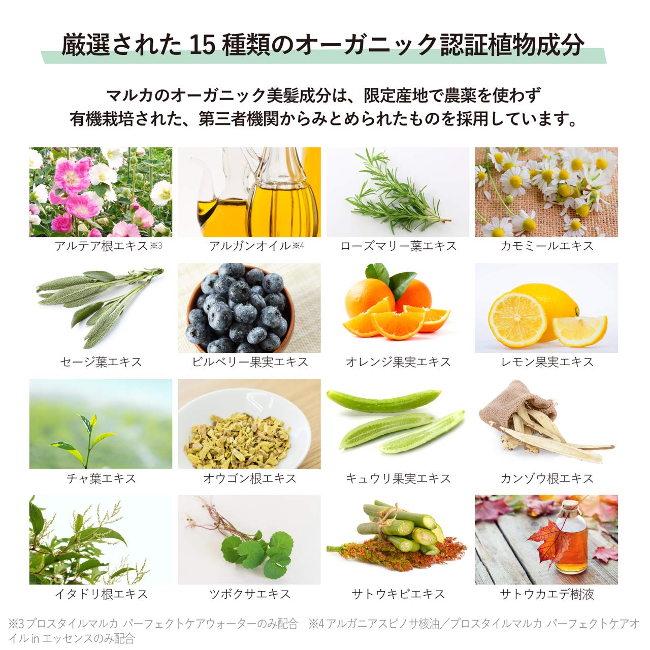 Amazon | プロスタイルマルカ パーフェクトケアウォーター (さらさら