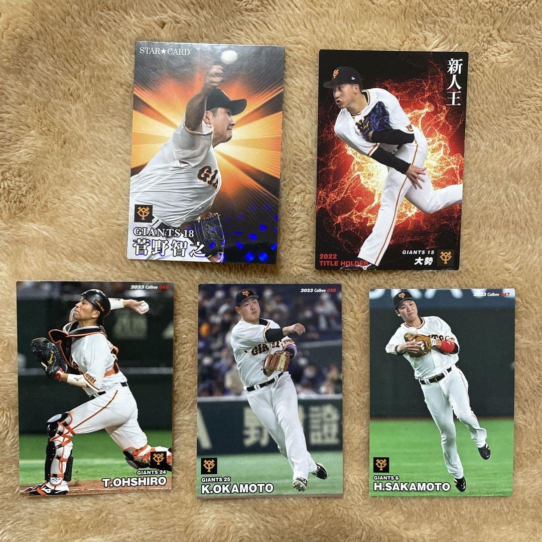 肉質画河崎久二薔薇