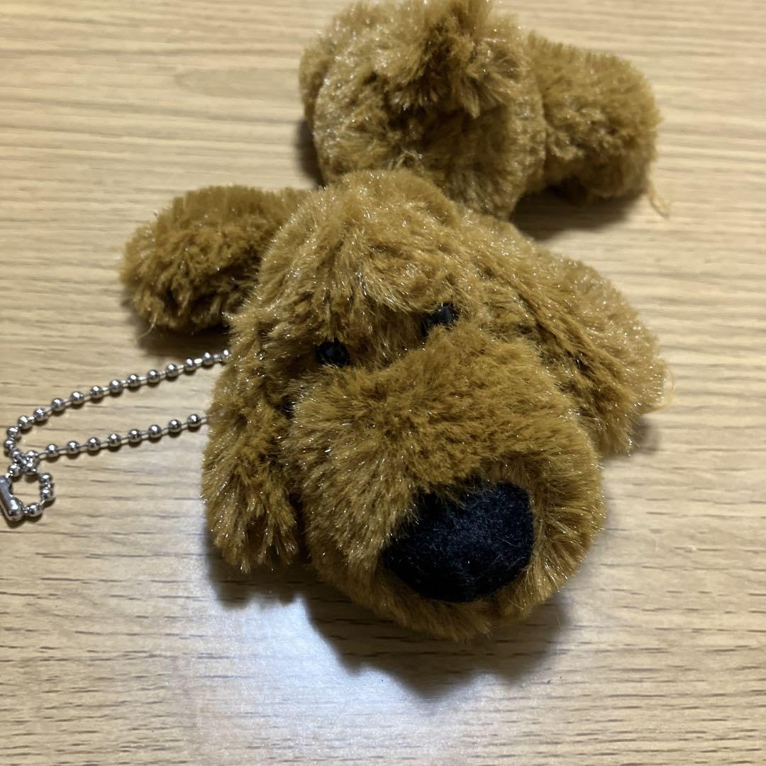 Amazon.co.jp: COMO&RAY 子犬のルーク くたくたルーク ぬいぐるみ