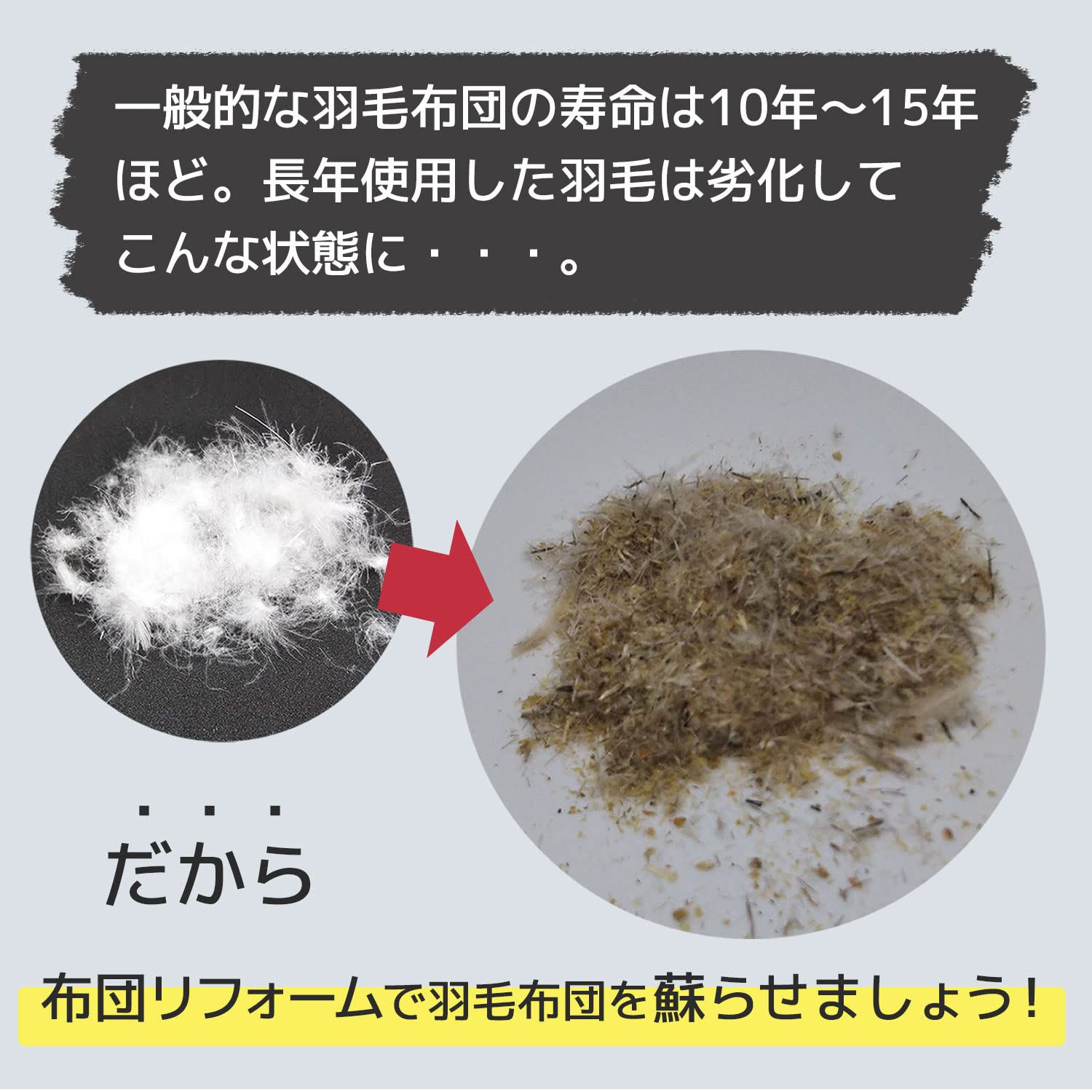 Amazon｜EFFECT 羽毛 布団 リフォーム 打ち直し ダブルからシングル