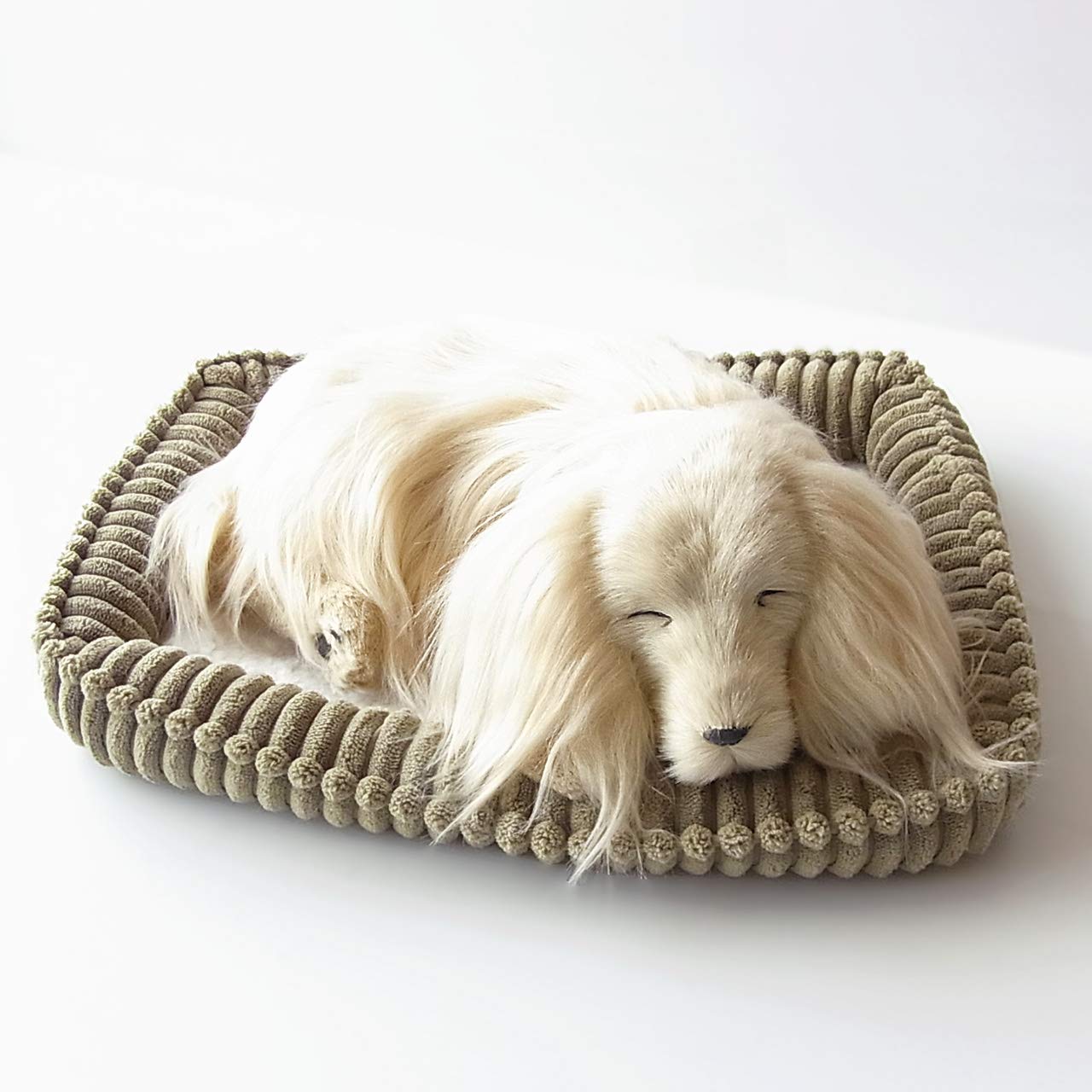 Amazon.co.jp: ニニアンドキノ パーフェクトペット (小サイズ