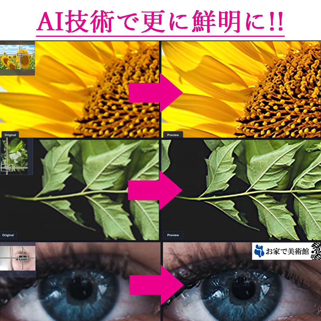 Amazon.co.jp: クロード モネ ひなげしの小道、サン＝マルタン島