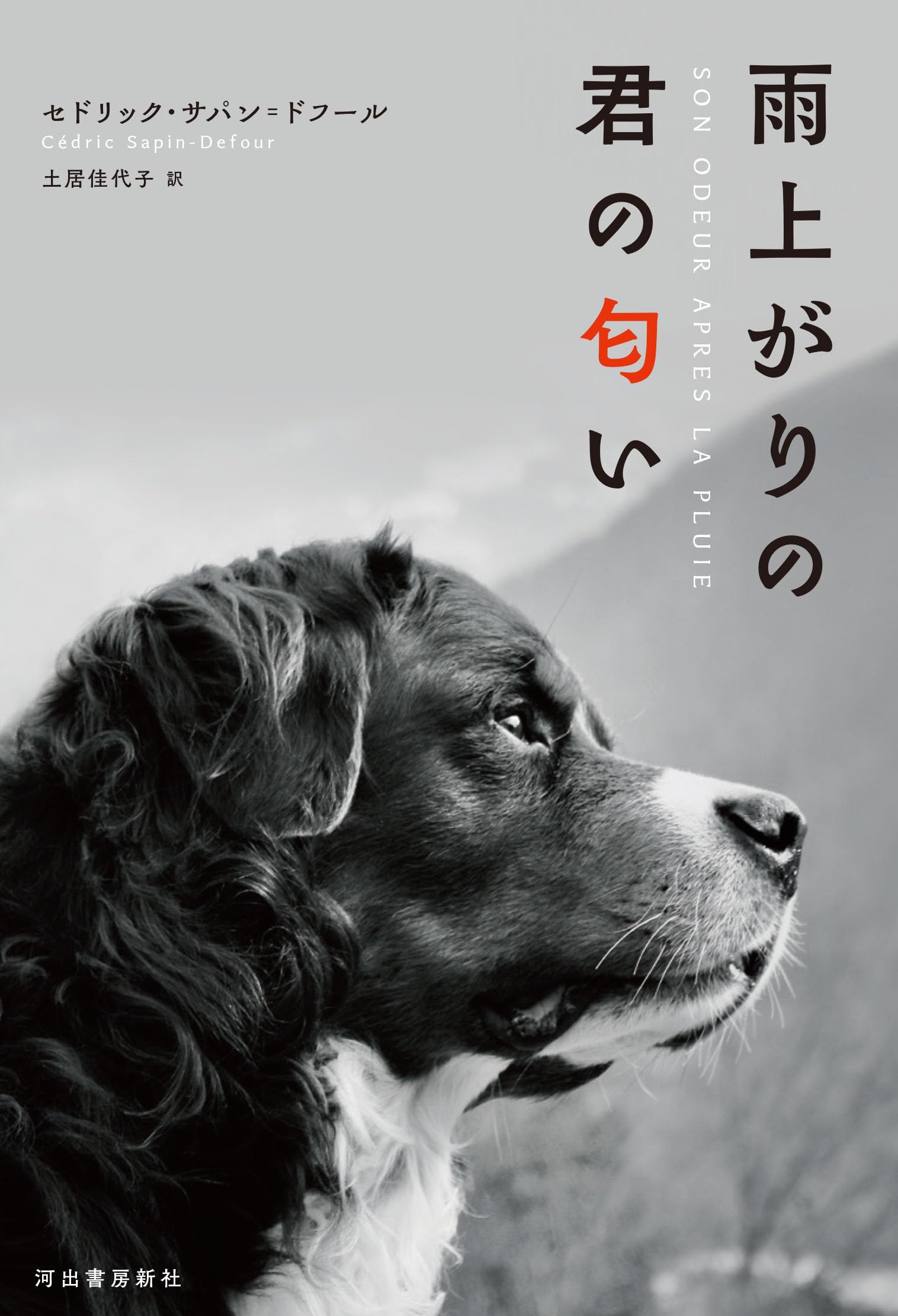 Amazon.co.jp: 雨上がりの君の匂い : セドリック・サパン＝ドフール