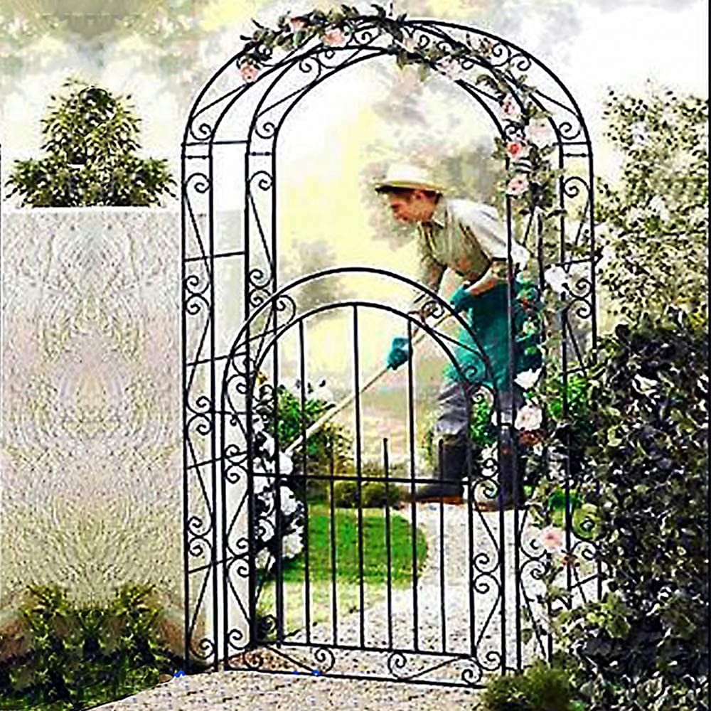 Amazon.co.jp: ガーデンアーチ 扉付き，鉄製 バラアーチ ローズアーチ