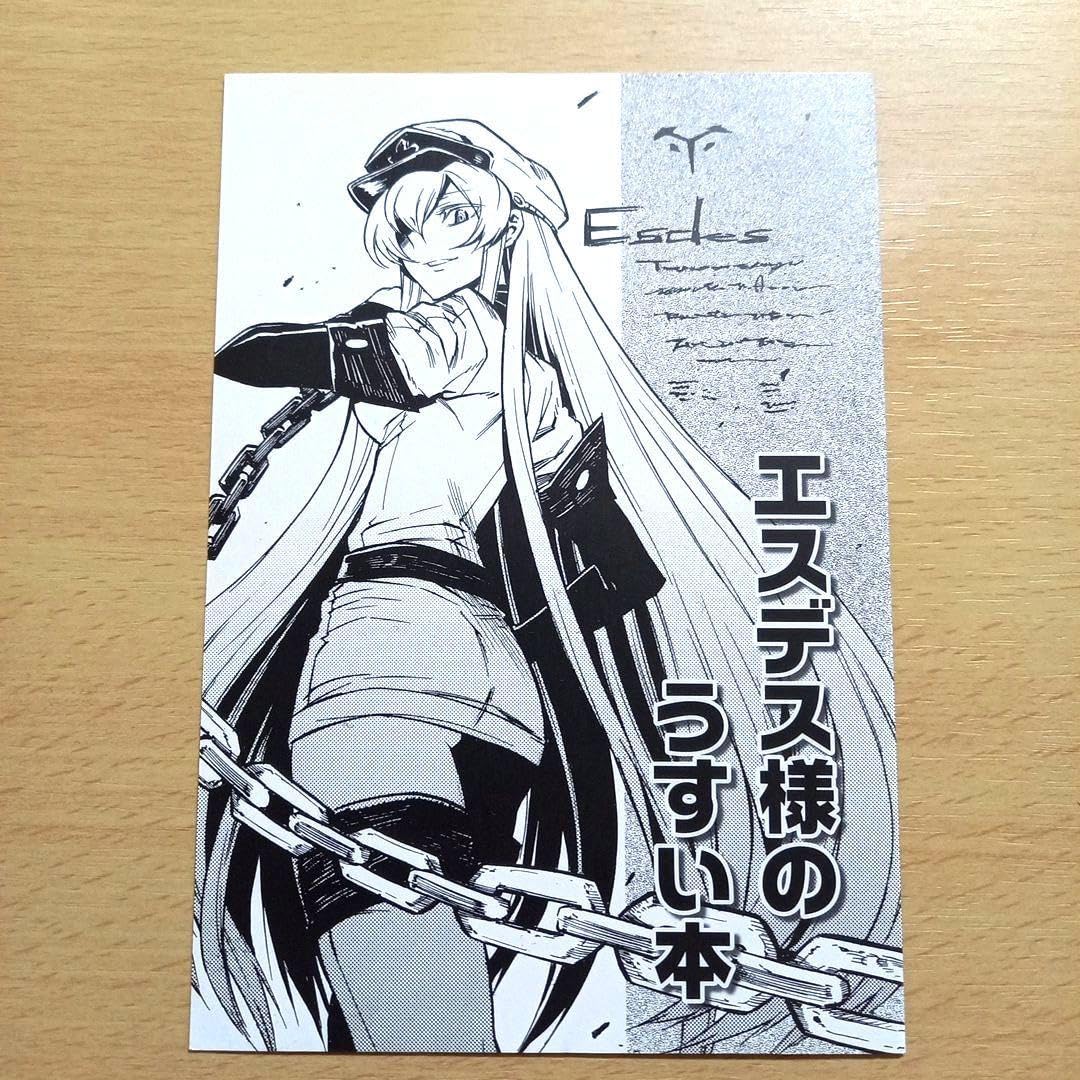 Amazon.co.jp: アカメが斬る 単行本特典 エスデス様のうすい本 : おもちゃ