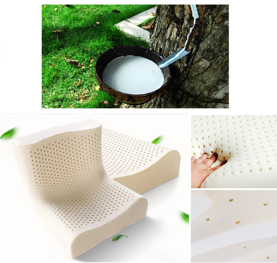 Amazon｜PanPan Amore 100％天然ゴム ラテックス枕 ピロー 高反発