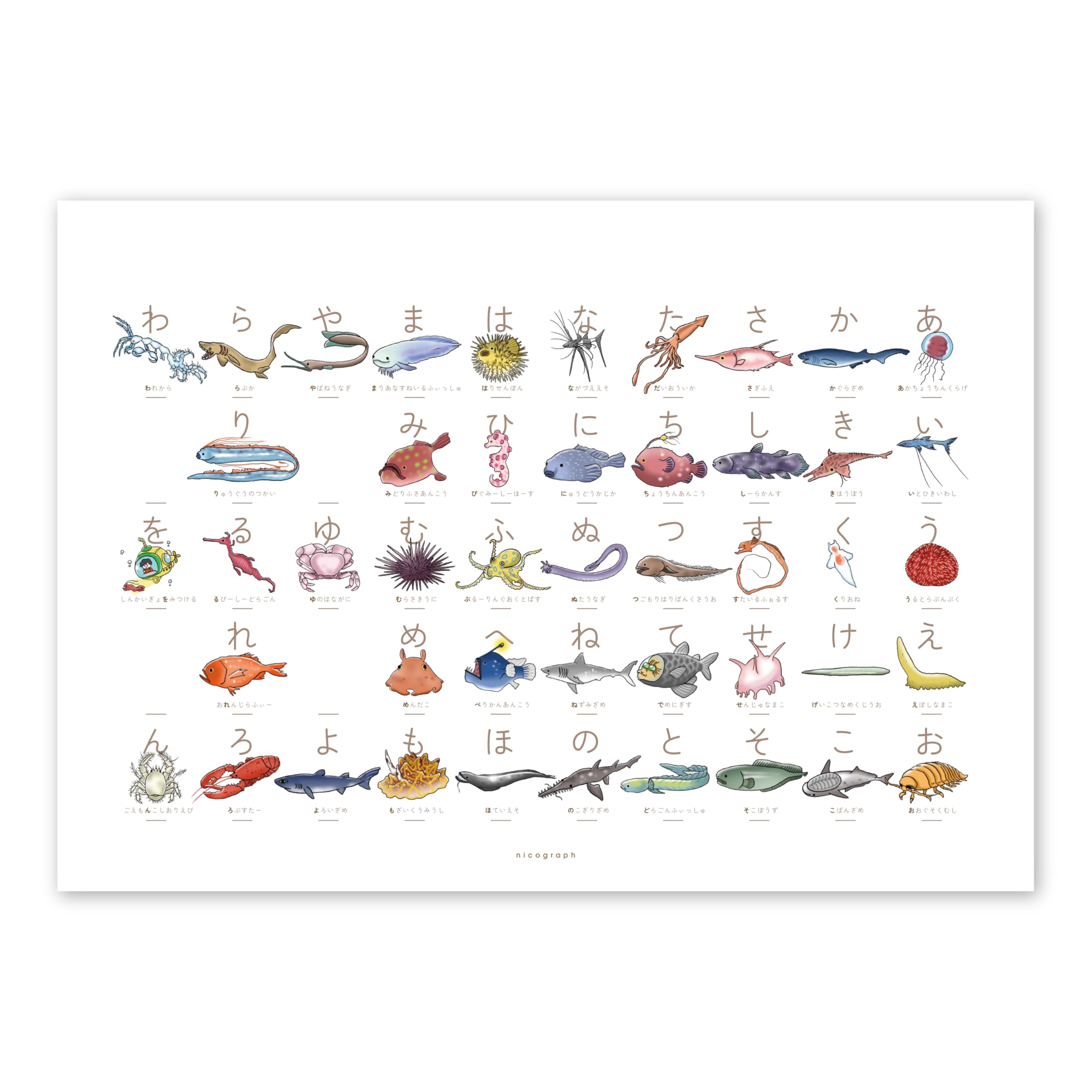 Amazon.co.jp: 深海魚ひらがな表 あいうえお表 こだわりあいうえお