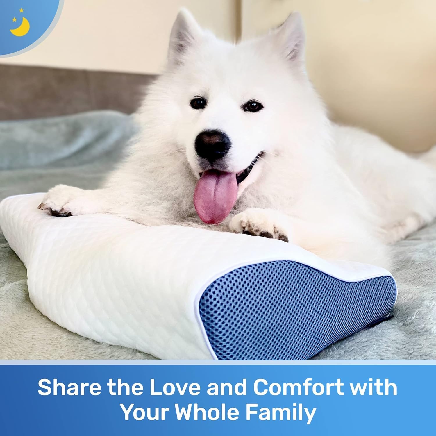 Amazon｜Derila (デリラ) 頚椎クイーンサイズ 睡眠用枕 - 首と肩の痛み