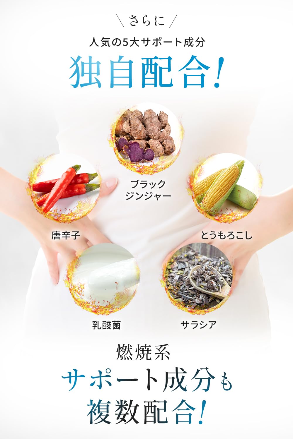 Amazon | 【公式】wellreco 糖脂サプリメント 1袋 30日分 [機能性表示