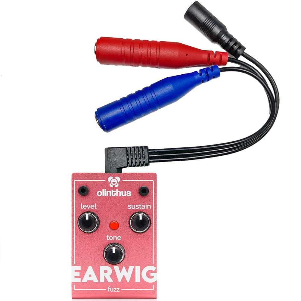 Amazon.com: Olinthus Olinthus Earwig Fuzz – World's Smallest