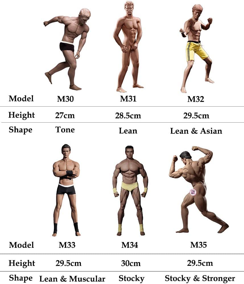 Amazon.co.jp: HiPlay TBLeague 1/6 男性 シームレス フィギュア