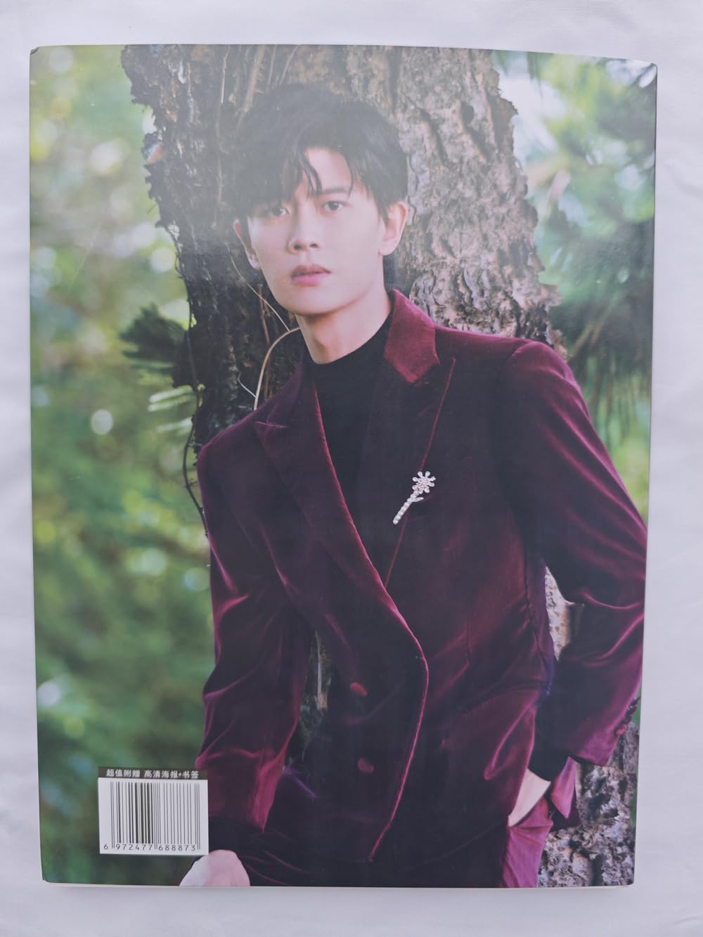 Amazon.co.jp: 月見竹取 任嘉倫 アレンレン 写真集 80P 『花様衛士