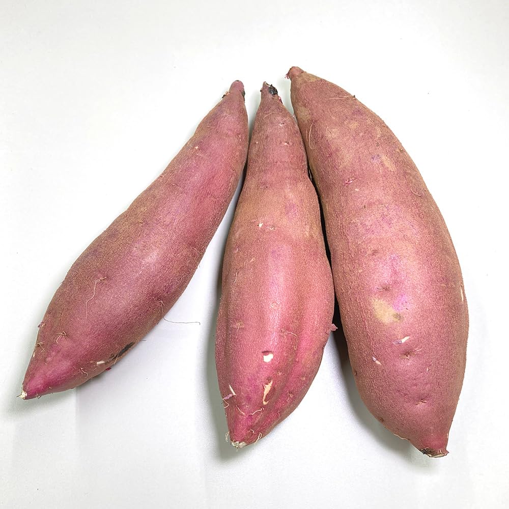 Amazon.co.jp: さつまいも 5kg 紅はるか 茨城県産 18～22本前後 M