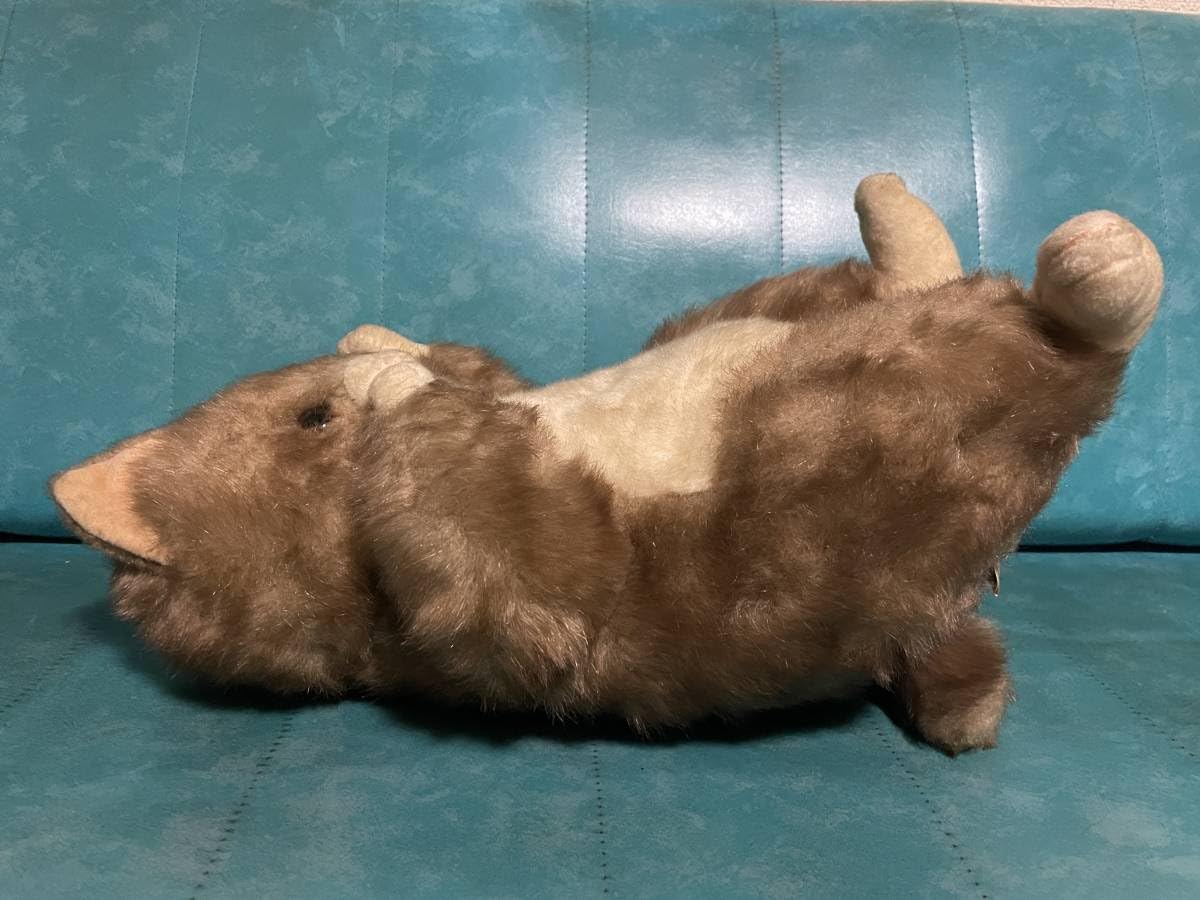 Amazon.co.jp: 日本製 OHARA オオハラ 猫 ぬいぐるみ 44cm MONY MORY