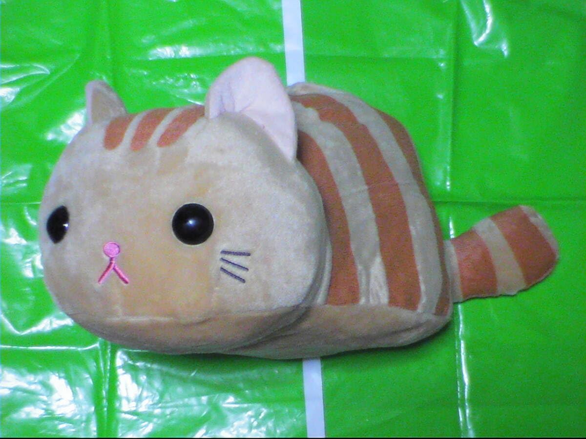 Amazon.co.jp: ツチネコ BIG ぬいぐるみ 45cm 猫 つちねこ : おもちゃ