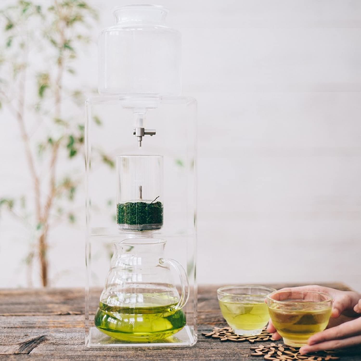 Amazon｜HARIO (ハリオ) ウォータードリッパー ・ クリア 水出し