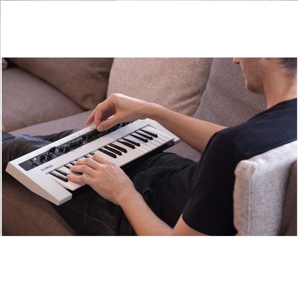 Amazon.com: Yamaha REFACE CS Portable Analog Modeling Synthesizer
