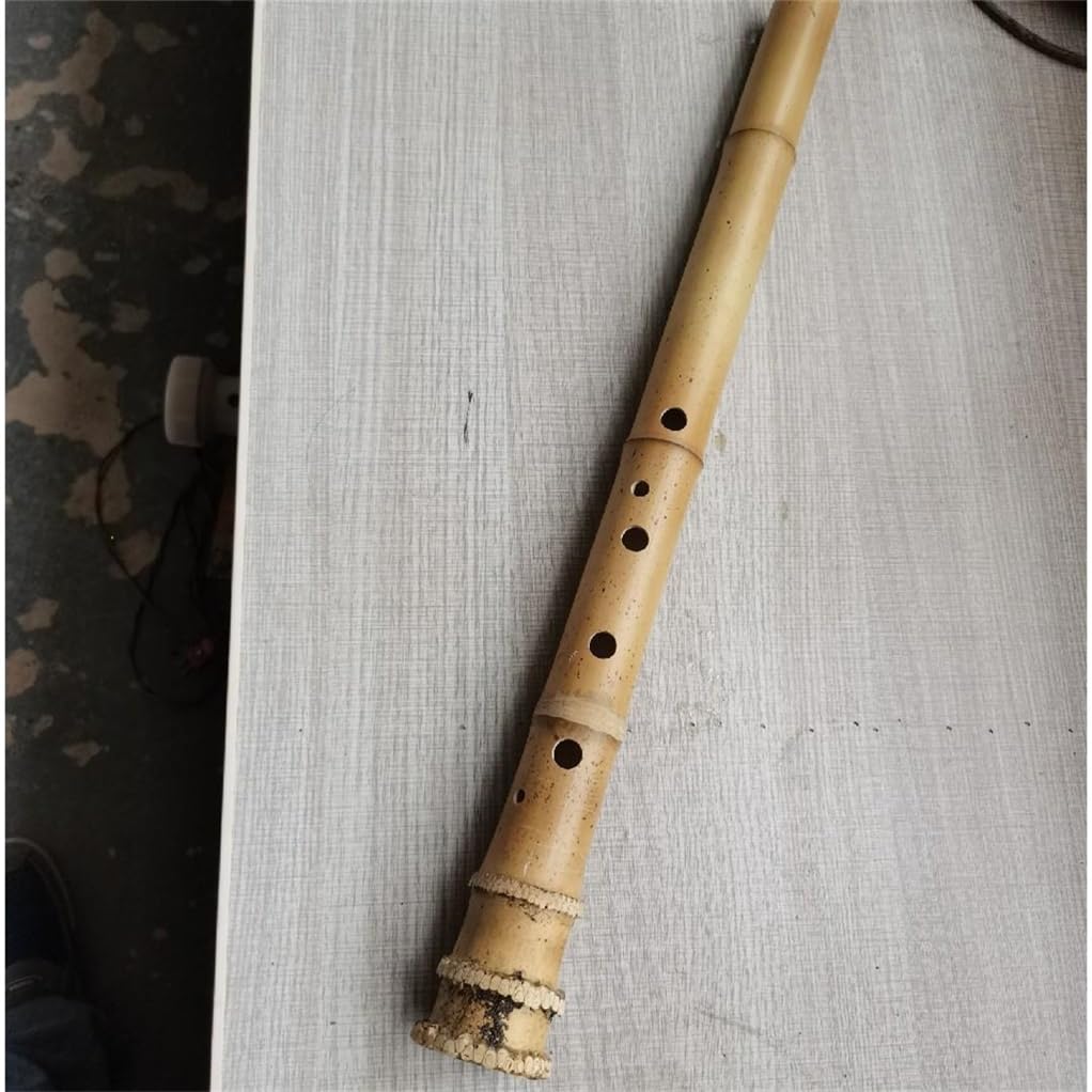 Amazon | shakuhachi五孔尺八楽器初学入門シャクハッチ七孔尺八桂竹