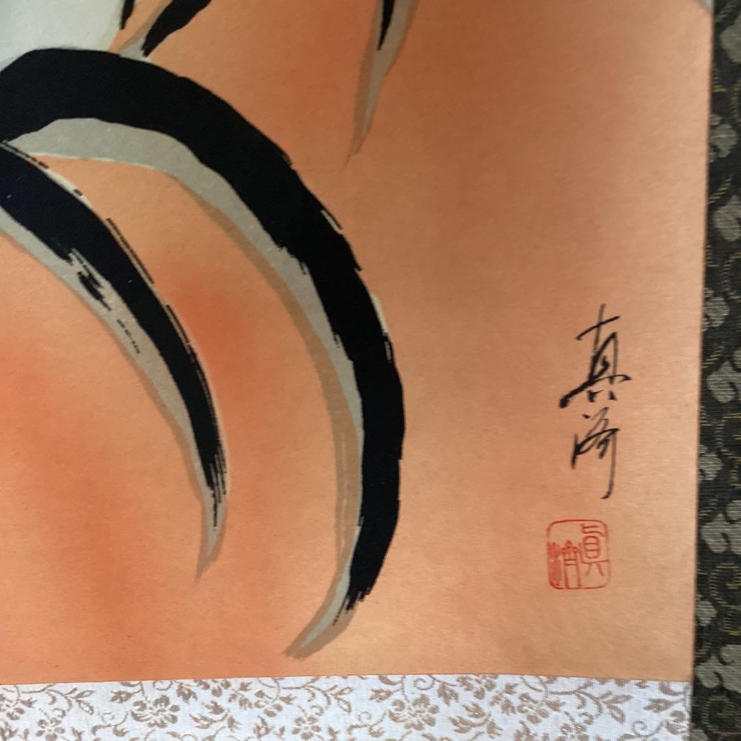 Amazon.co.jp: 赤達磨 絹本彩色画 赤達磨図 一喝賛 掛軸一幅 517 た