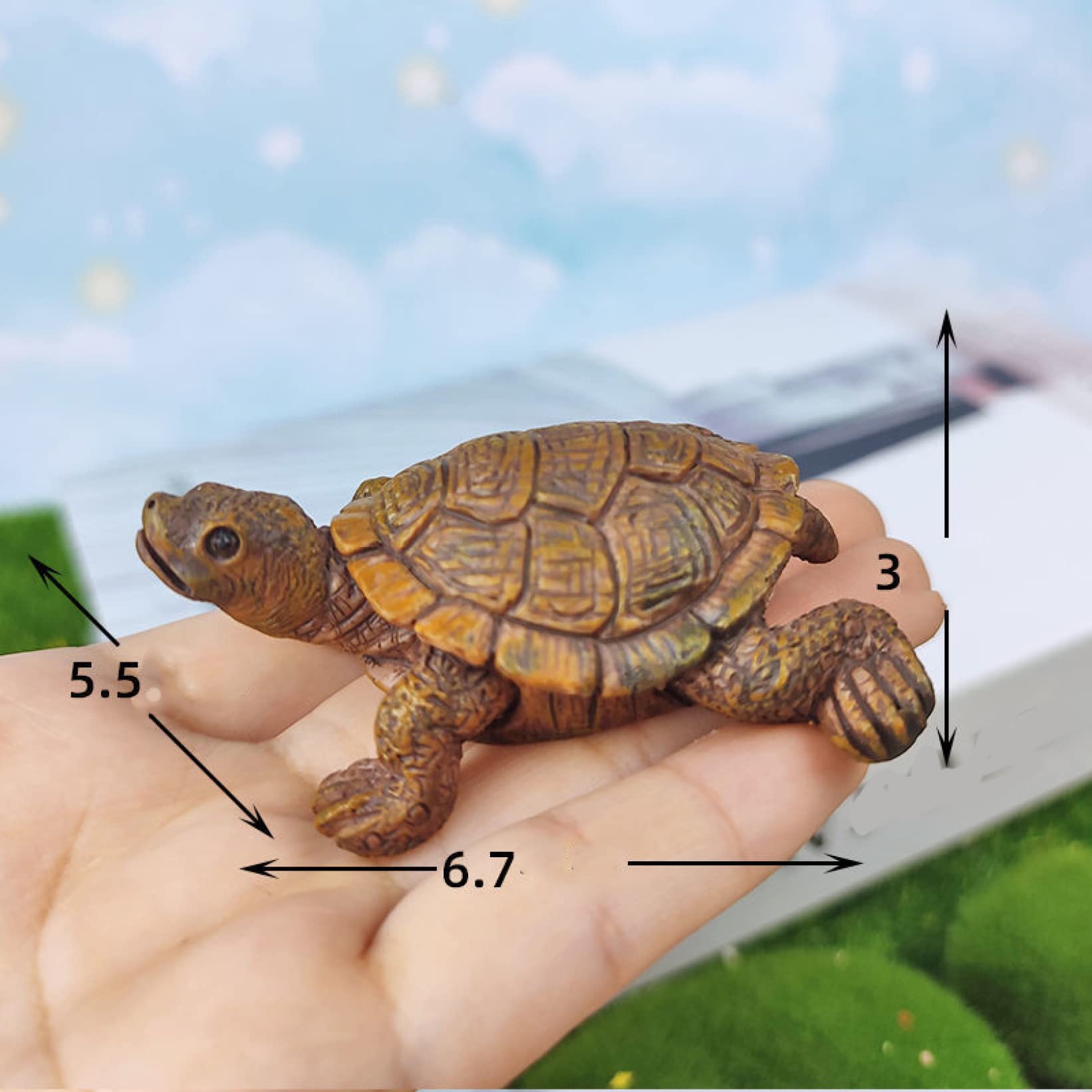 Amazon.co.jp: LxRx9 亀の置物 A かめ カメ タートル 動物 置物 玄関