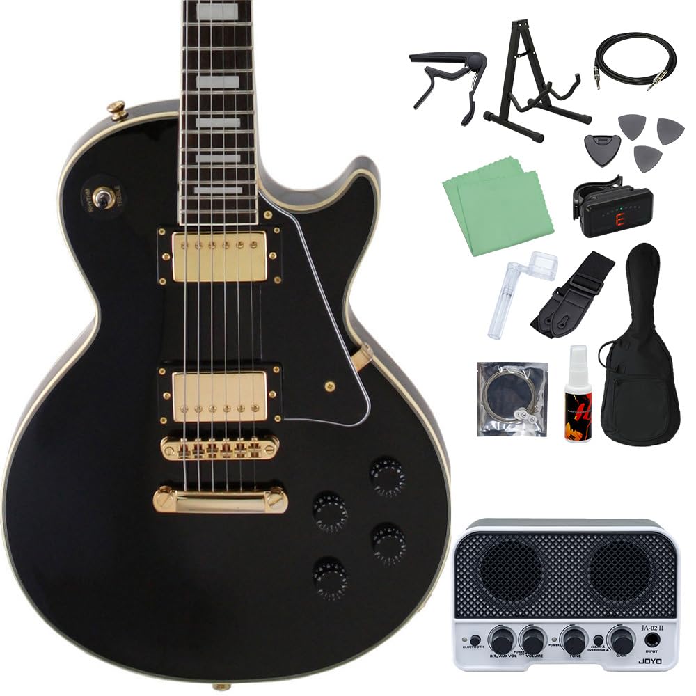 Blitz by Aria Pro II Leopard Les Paul Type Electric Guitar エレキ