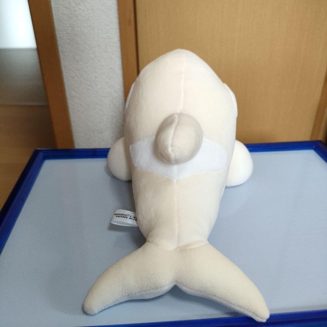 Amazon.co.jp: 名古屋港水族館 限定 白シャチぬいぐるみ 3等 可愛い