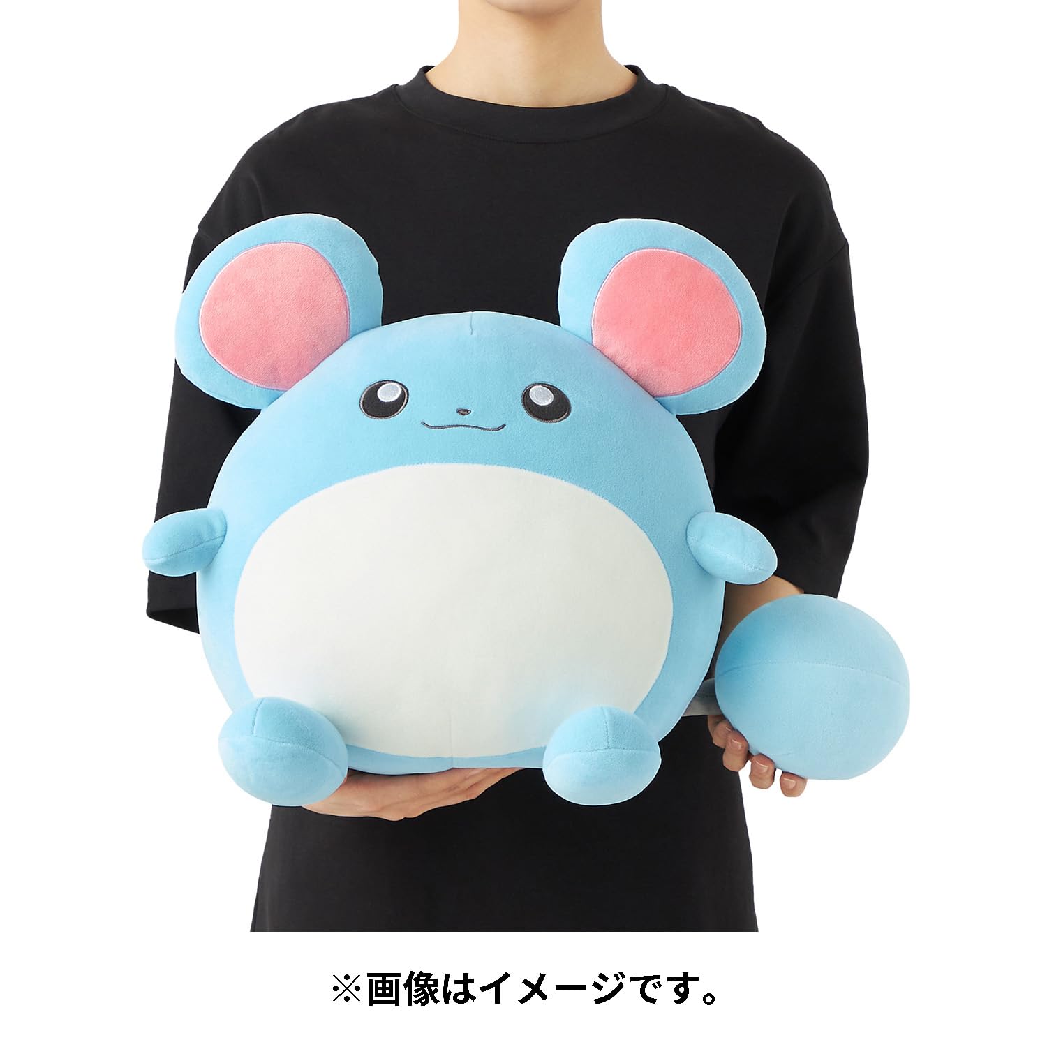 Amazon.co.jp: ポケモンセンターオリジナル もっちりっちぬいぐるみ
